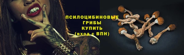 дживик Армянск
